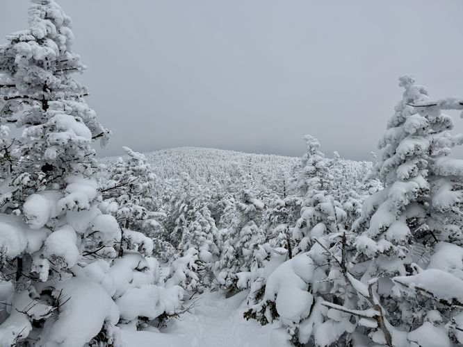 View / Overlook / Vista