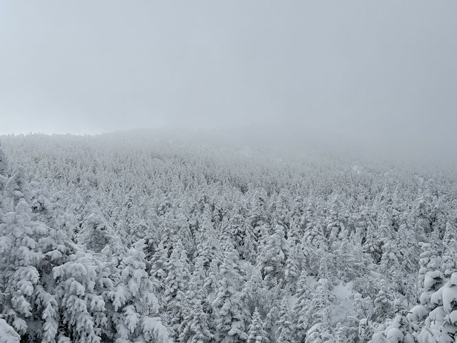 Looking up toward Mt Marcy in the clouds from below the summit