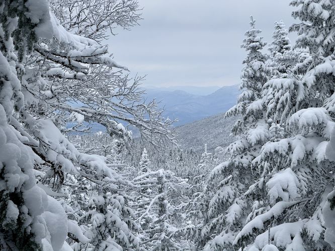 View of distant mountains through the trees from the trail