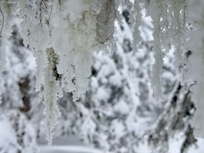 Picture 52 of Mt Marcy