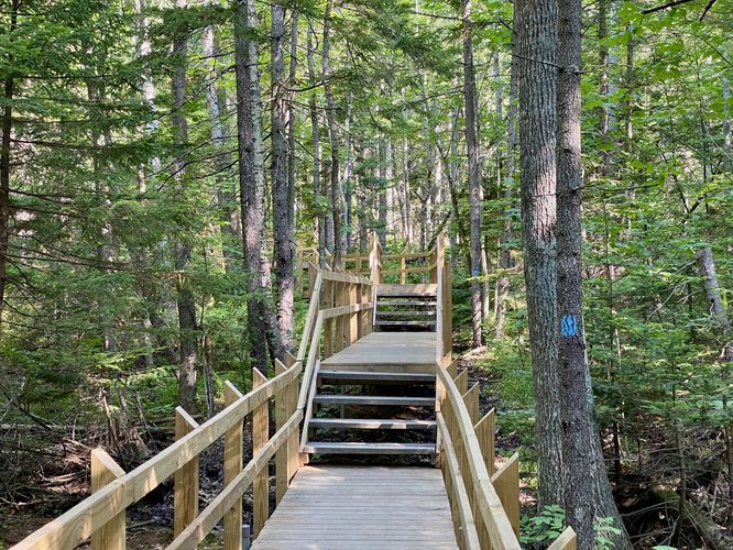 Stairs lead over a very-muddy section of trail