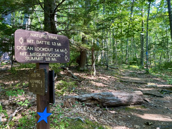 Nature Trail leads to the Mt. Megunticook Trail