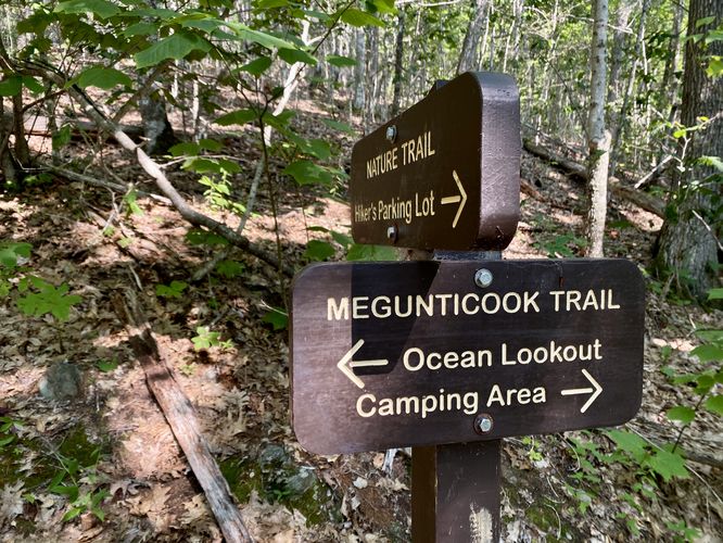 Mt. Megunticook Trail