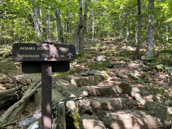 Turn onto the Adams Lookout Trail