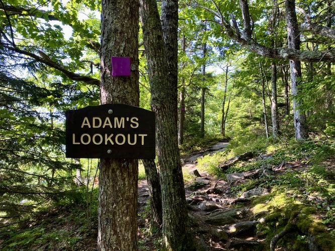 Approaching Adam's Lookout