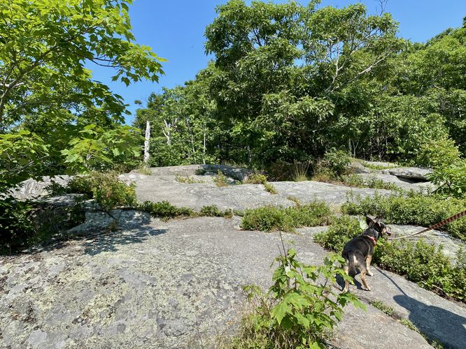 Hiking up the bedrock ledges on Mt. Megunticook