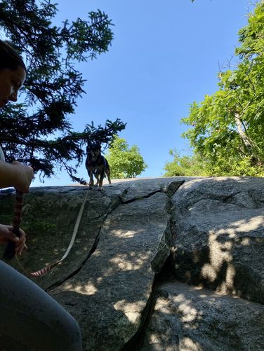 Jax waits on the bedrock ahead of us
