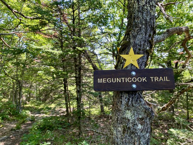 Megunticook Trail (yellow blazes)