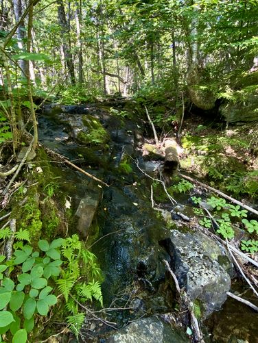Very-seasonal ~5-foot tall waterfall (off-trail)