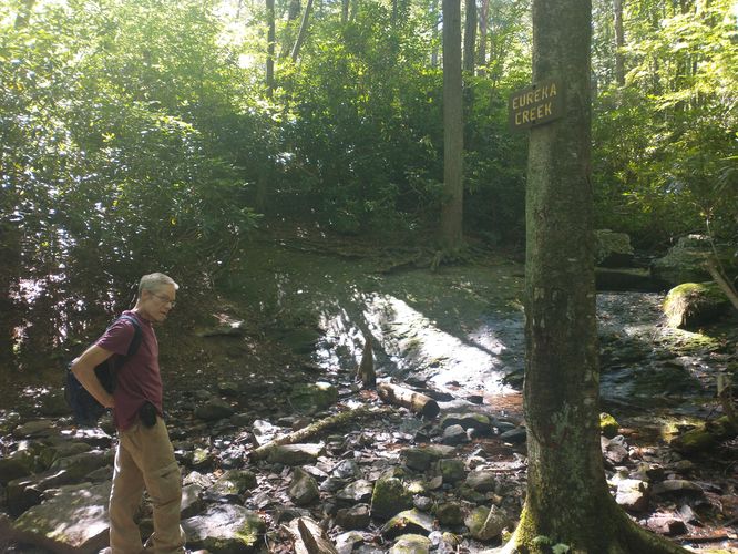 Rocky trail substrate 