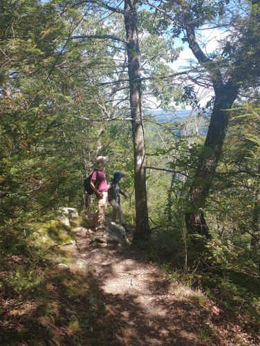 Trailside 