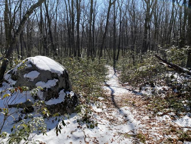 Large boulder along the trail