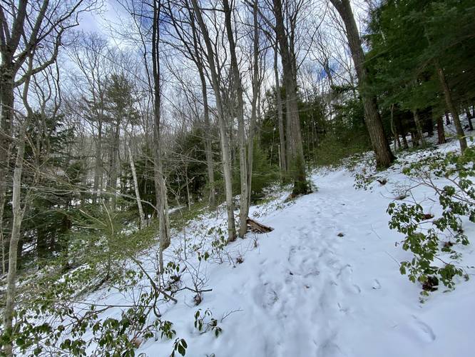 Deer Trail becomes steeper up Mt. Nessmuk