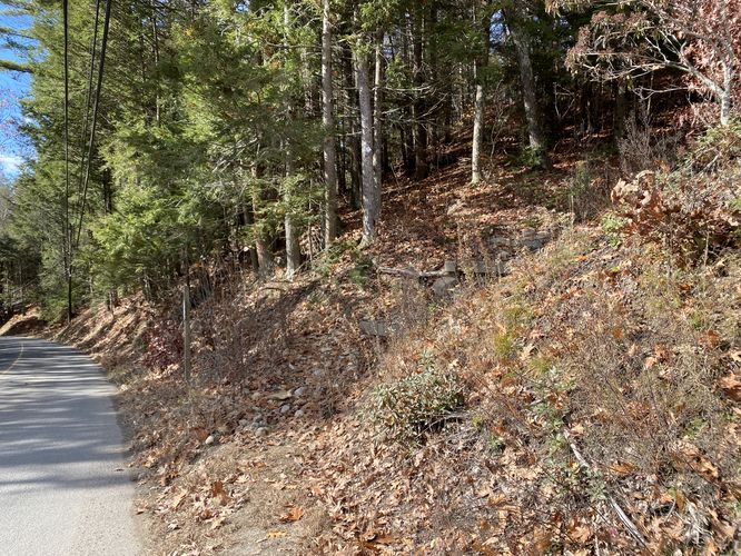 Trailhead starts along the road -- super steep