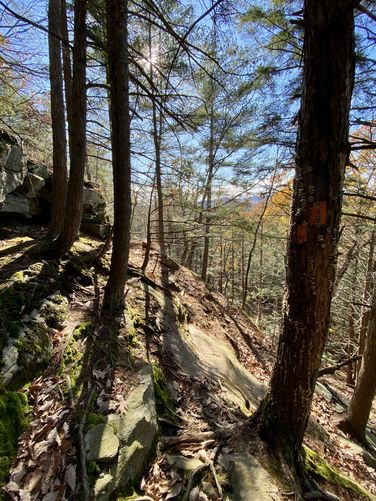 Very steep rock ledges make-up the trail ascending Mt. Orient