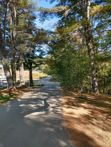 The road that leads to the trails.