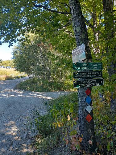 Trail signage on a tree.