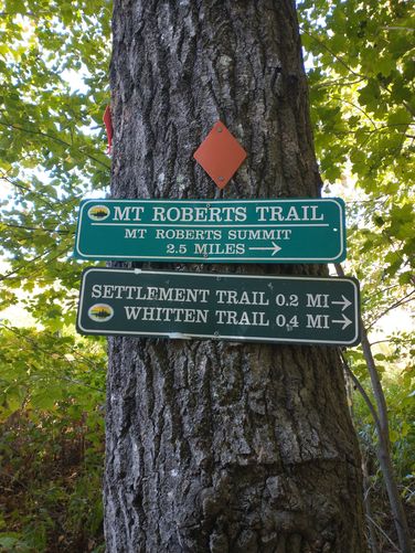 Trail signage once you exit the field into the forest.