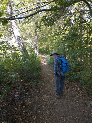 The trail skirts along the field.