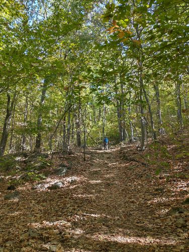 The trail begins  to ascend.