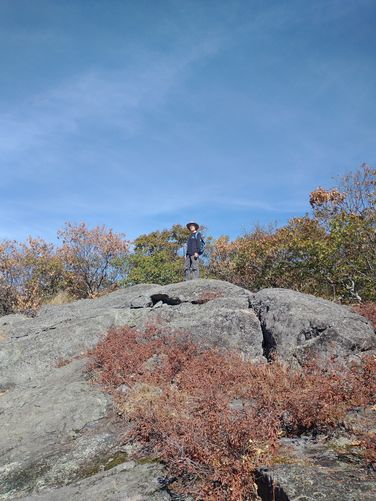 Vegatation is showing the stresses of the drought.