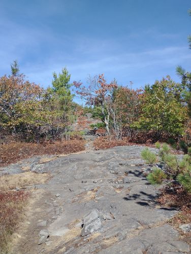 The trail substrate over the rocky ledge