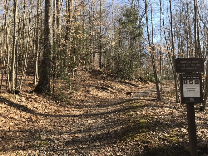 Picture 4 of Mt Rogers and Elk Ridge Hike 022018