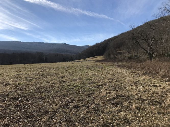 Picture 8 of Mt Rogers and Elk Ridge Hike 022018