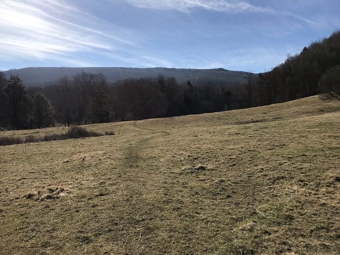 Picture 11 of Mt Rogers and Elk Ridge Hike 022018