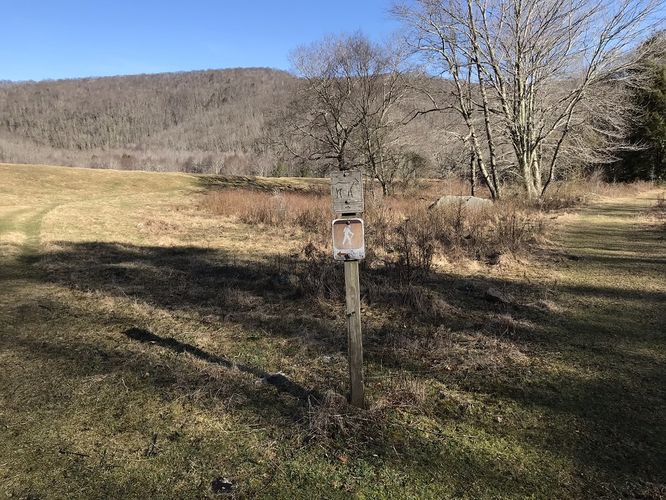 Picture 12 of Mt Rogers and Elk Ridge Hike 022018