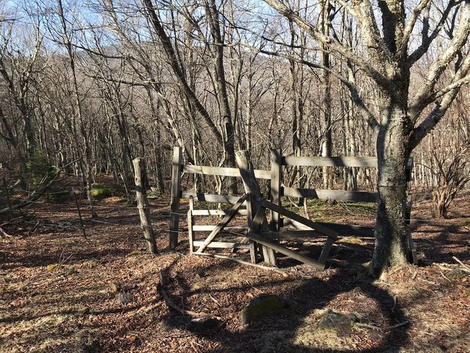Picture 20 of Mt Rogers and Elk Ridge Hike 022018