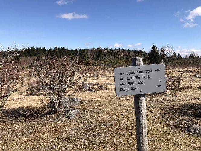 Picture 23 of Mt Rogers and Elk Ridge Hike 022018