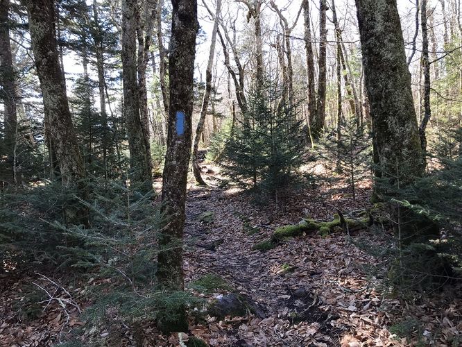 Picture 26 of Mt Rogers and Elk Ridge Hike 022018