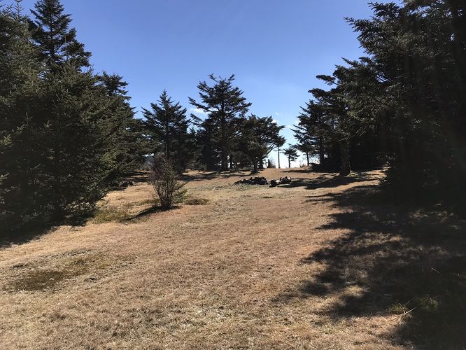 Picture 31 of Mt Rogers and Elk Ridge Hike 022018
