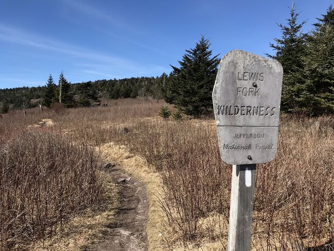 Picture 34 of Mt Rogers and Elk Ridge Hike 022018