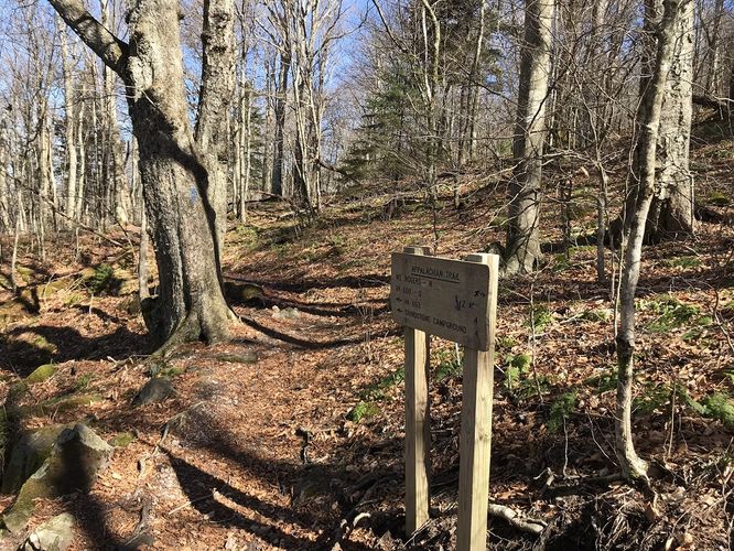 Picture 35 of Mt Rogers and Elk Ridge Hike 022018