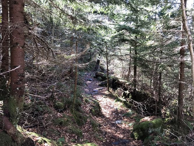 Picture 36 of Mt Rogers and Elk Ridge Hike 022018