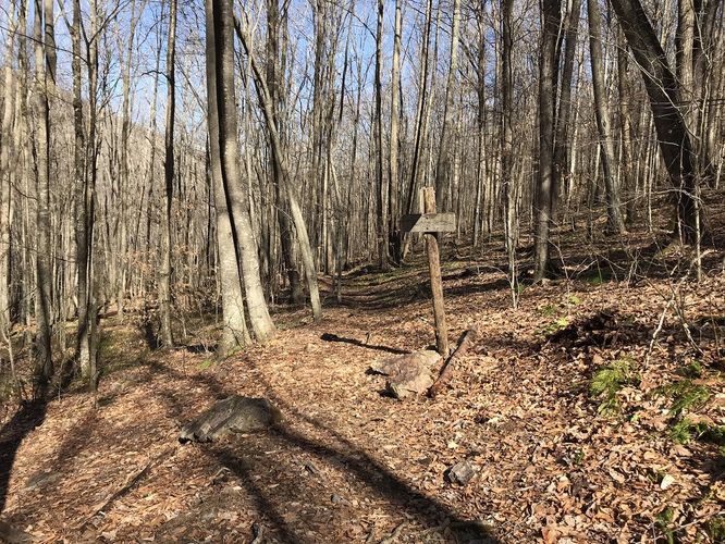 Picture 39 of Mt Rogers and Elk Ridge Hike 022018