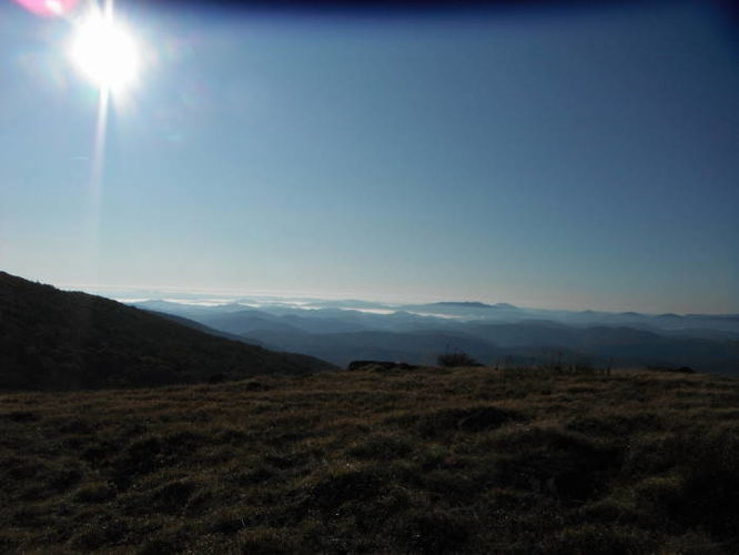 Picture 12 of Mt Rogers and Grayson Highlands 100811