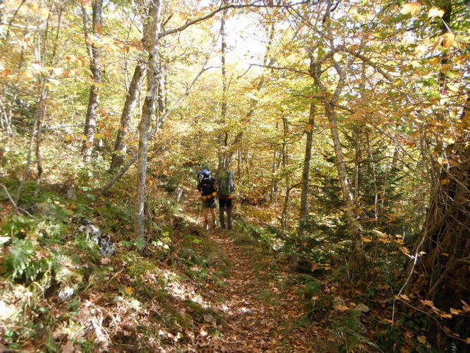 Picture 13 of Mt Rogers and Grayson Highlands 100811