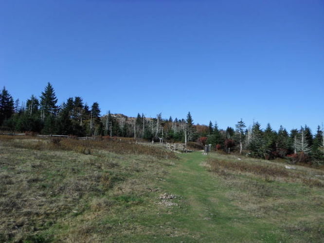 Picture 24 of Mt Rogers and Grayson Highlands 100811