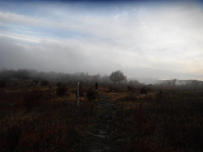 Picture 25 of Mt Rogers and Grayson Highlands 100811