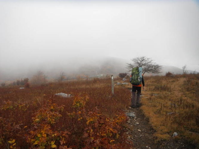 Picture 26 of Mt Rogers and Grayson Highlands 100811