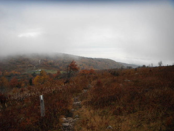 Picture 27 of Mt Rogers and Grayson Highlands 100811