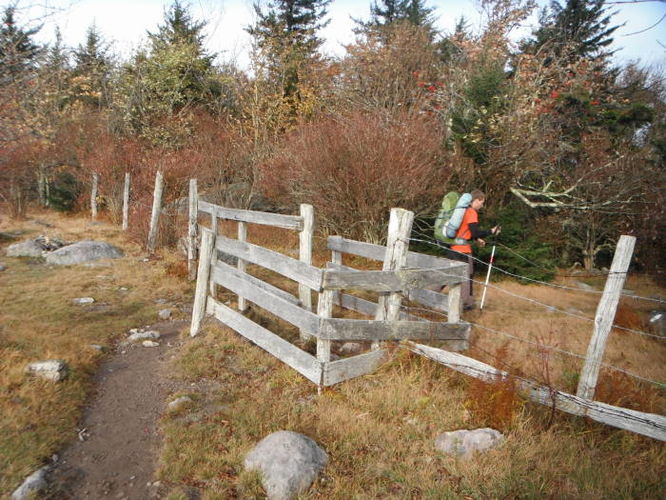 Picture 29 of Mt Rogers and Grayson Highlands 100811