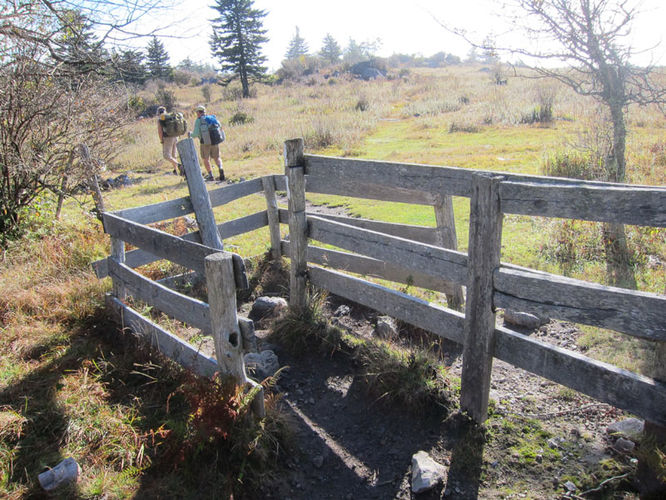 Picture 13 of Mt Rogers and Wilburn Ridge Hike 092514