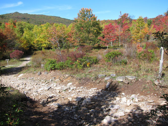 Picture 18 of Mt Rogers and Wilburn Ridge Hike 092514