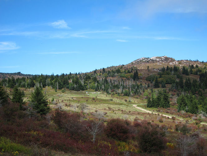 Picture 26 of Mt Rogers and Wilburn Ridge Hike 092514
