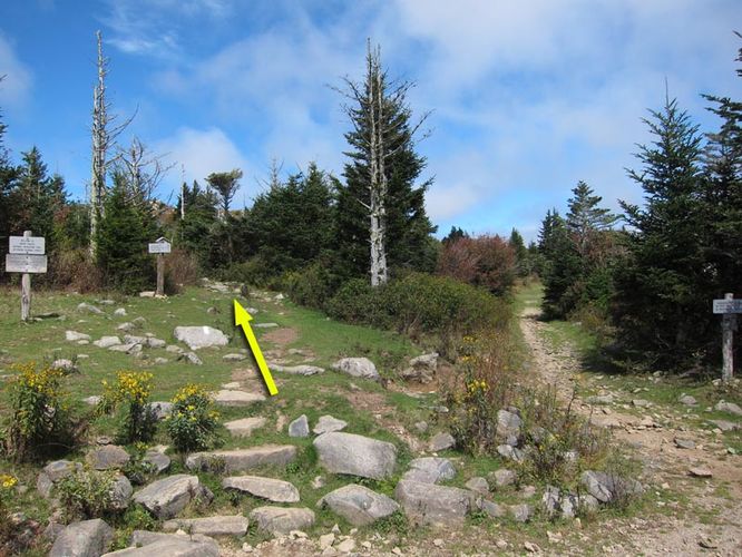 Picture 28 of Mt Rogers and Wilburn Ridge Hike 092514