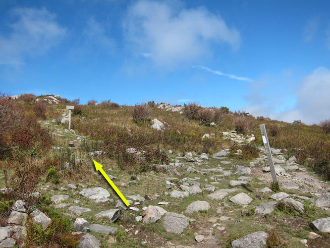Picture 29 of Mt Rogers and Wilburn Ridge Hike 092514